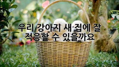 우리 강아지, 새 집에 잘 적응할 수 있을까요?